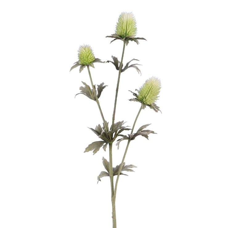 Green Thistle Spray