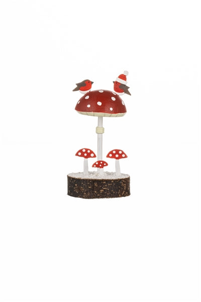 Robins on Toadstool