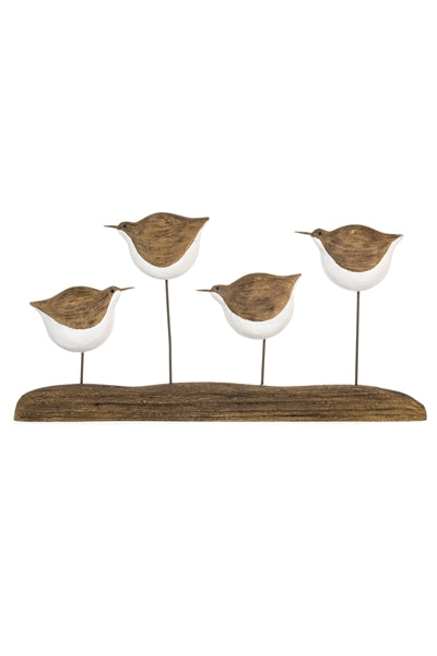 Dipper Family