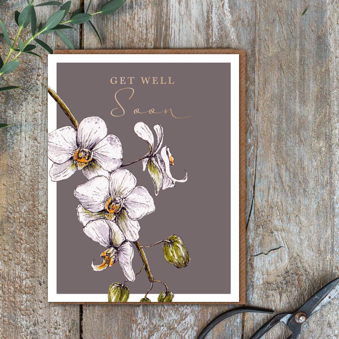 Get Well Soon Greetings Cards