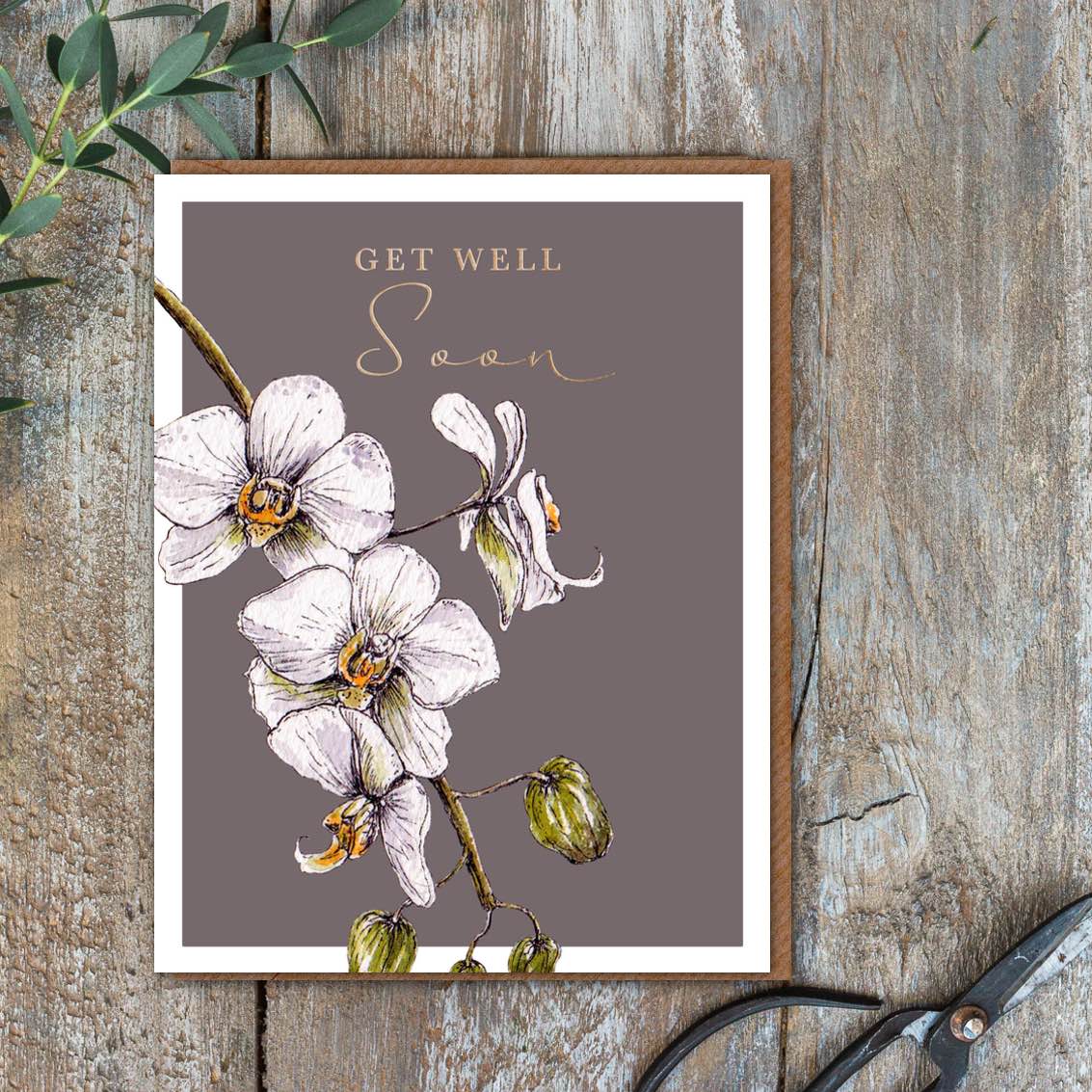 Get Well Soon  Greetings Cards