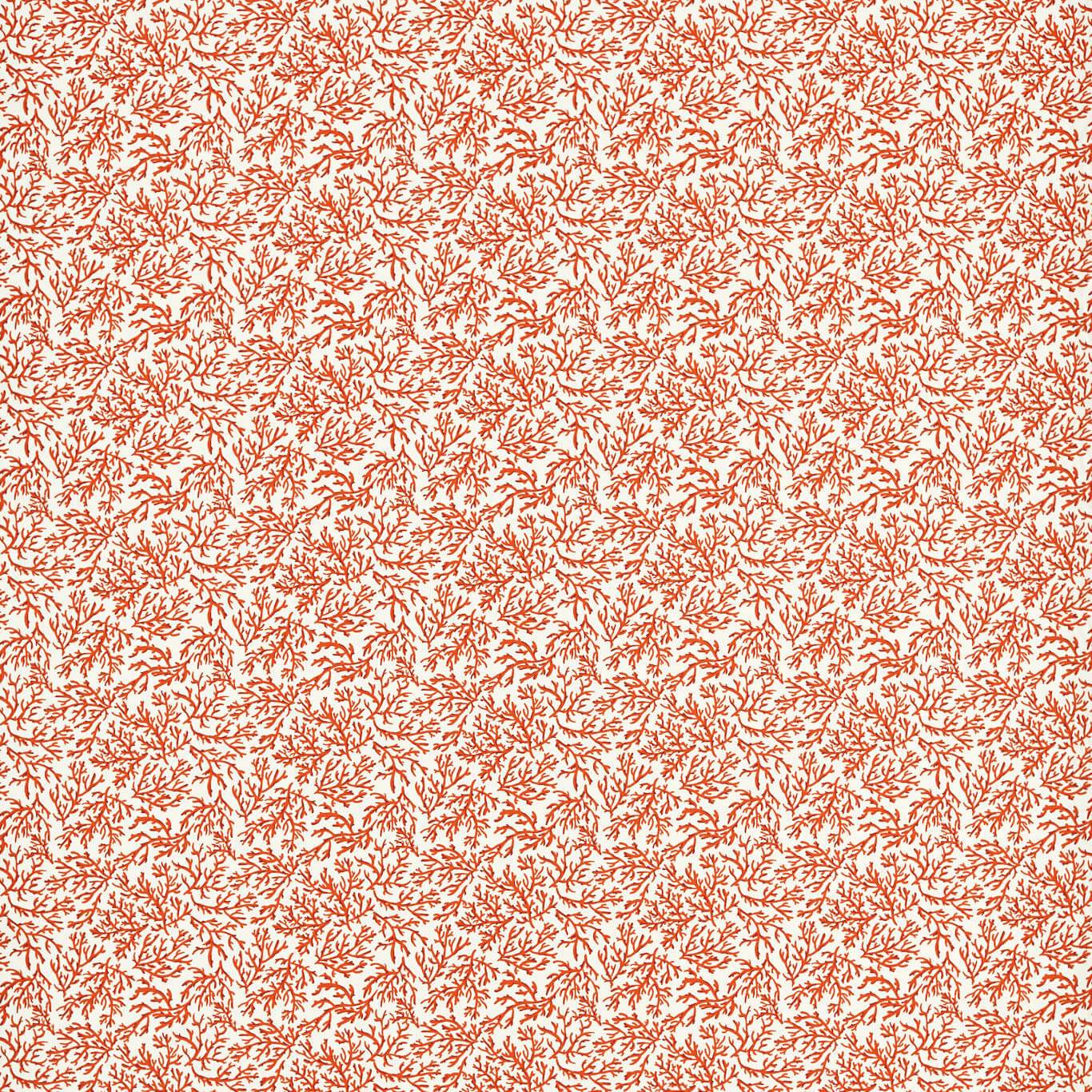 Coral Seabed Cushion