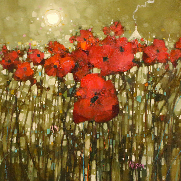 Kirkcudbright Poppy Patch