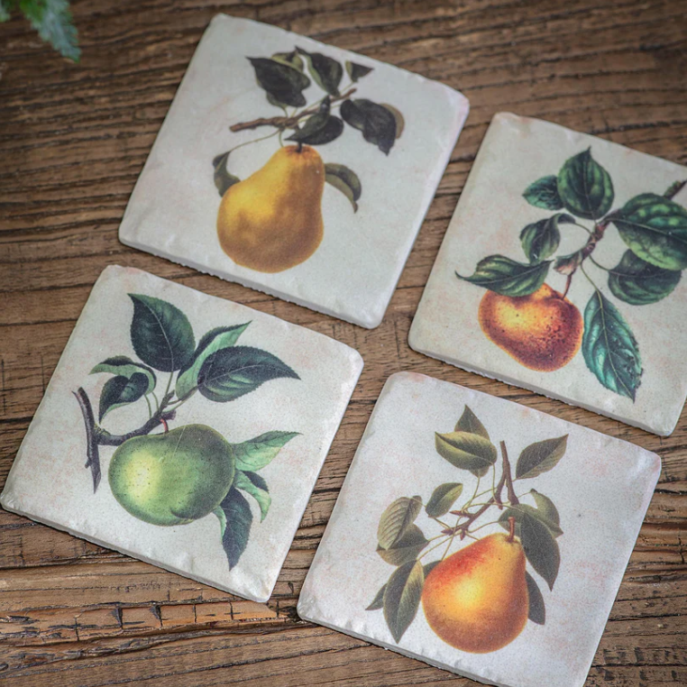 Fruit Coasters