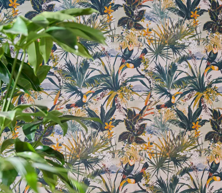 Toucan Antique Wallpaper