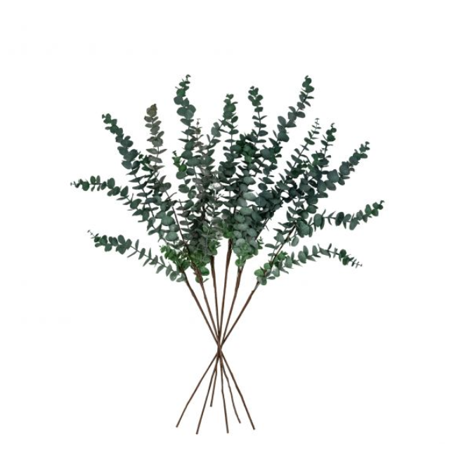 Grey Eucalyptus Stem