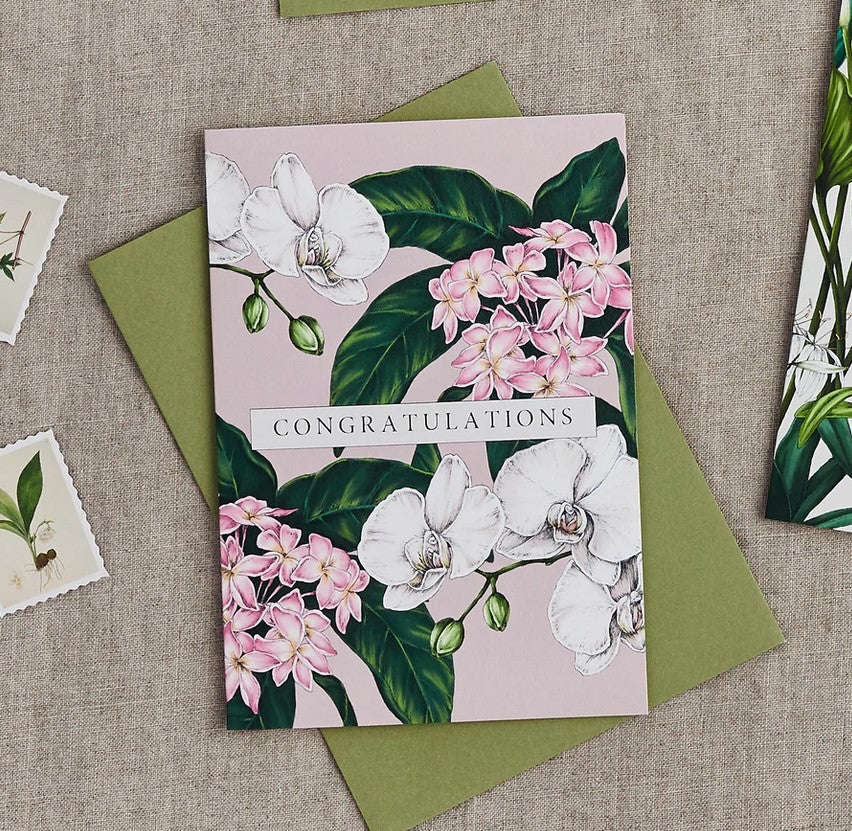 Congratulations Palm House Tropics