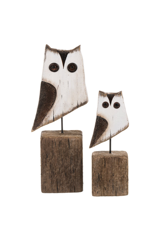 Pair of Owls