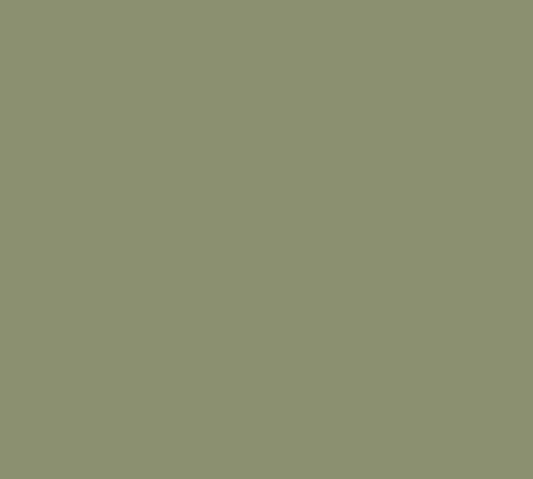 Canopy Green Paint Tester Pot