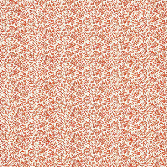 Coral Seabed Cushion