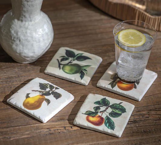 Fruit Coasters