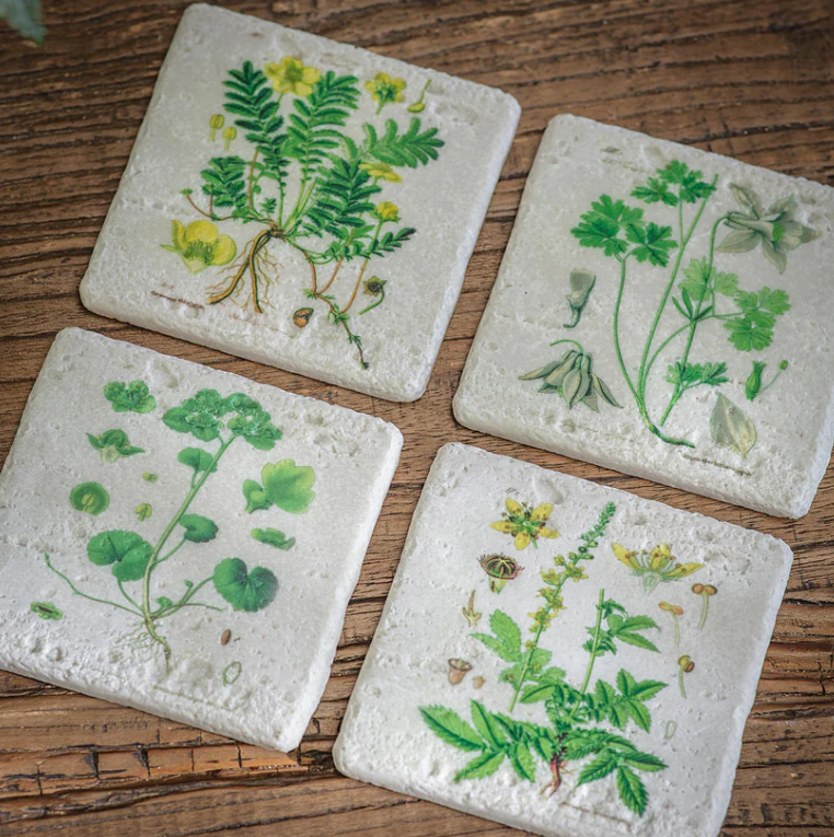 Botanical Coasters
