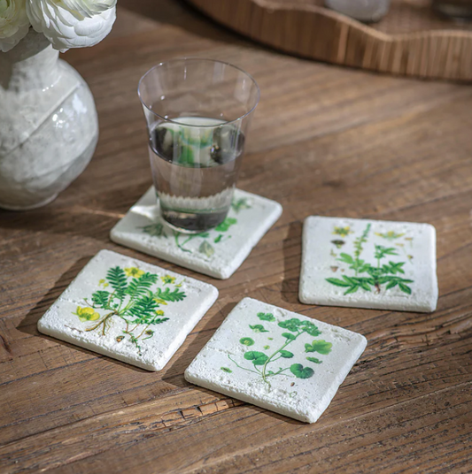 Botanical Coasters