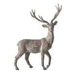 Standing Grey Stag