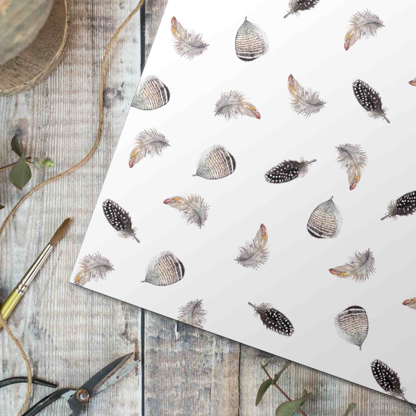 Feather Gift Wrap