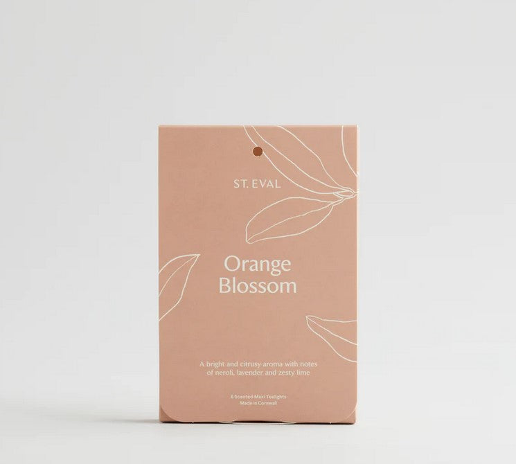 Orange Blossom Maxi Tealights